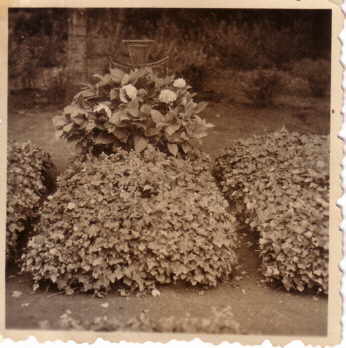 Bernhard Kunze und Familie